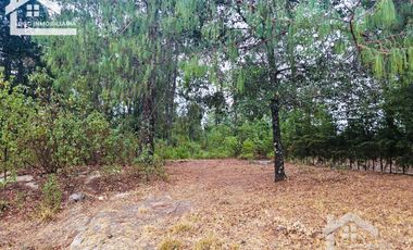 TERRENO LA JOYA, CEBADAS, MINERAL DEL CHICO