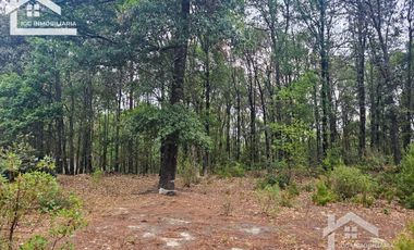 TERRENO LA JOYA, CEBADAS, MINERAL DEL CHICO