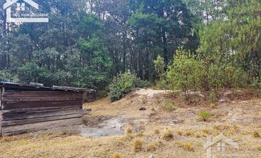 TERRENO LA JOYA, CEBADAS, MINERAL DEL CHICO