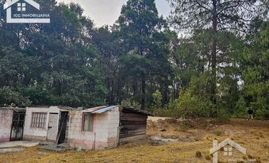 TERRENO LA JOYA, CEBADAS, MINERAL DEL CHICO