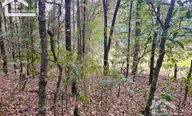 TERRENO LA JOYA, CEBADAS, MINERAL DEL CHICO