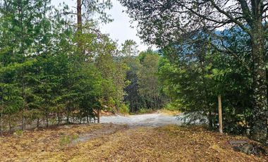 TERRENO LA JOYA, CEBADAS, MINERAL DEL CHICO