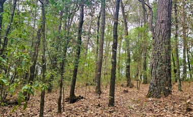 TERRENO LA JOYA, CEBADAS, MINERAL DEL CHICO
