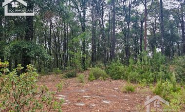 TERRENO LA JOYA, CEBADAS, MINERAL DEL CHICO