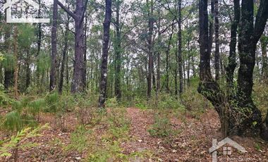 TERRENO LA JOYA, CEBADAS, MINERAL DEL CHICO