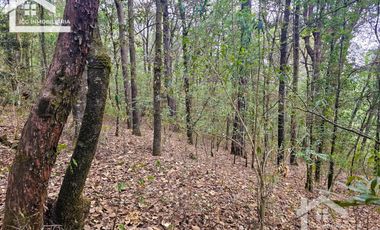 TERRENO LA JOYA, CEBADAS, MINERAL DEL CHICO