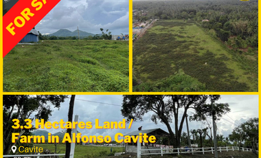 For Sale 3.3 Hectares Land / Farm in Alfonso Cavite Clean title