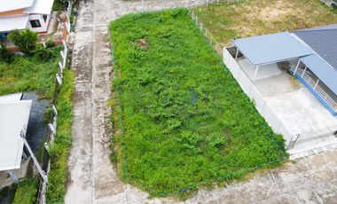 Land 108 Sq.wah for SALE in San Kanphaeng