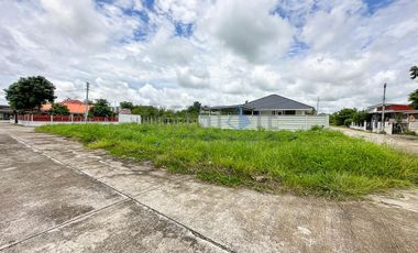 Land 108 Sq.wah for SALE in San Kanphaeng