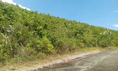 Overlooking 160 sqm RESIDENTIAL LOT FOR SALE in Crown Heights Compostela Cebu
