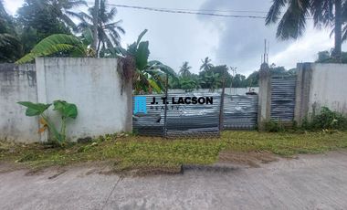 Fenced Lot for Sale in Valencia, Negros Oriental
