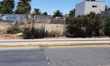 Avenida La Chimba, Ovalle, Limarí, Coquimbo