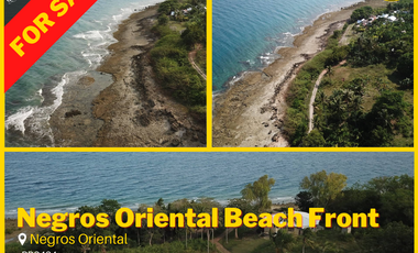 For Sale Lot in Negros Oriental Beach Front