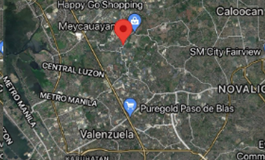 Commercial Warehouses and Lot for Sale in Valenzuela