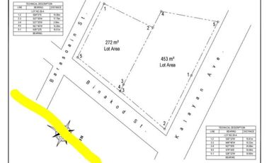 Prime Lot in near Ayala Circuit and Shopwise Makati City for Sale