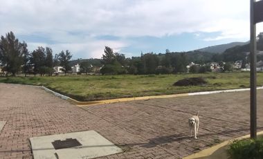Terreno en Venta en Bugambilias 1era seccion en Zapopan, Jalisco