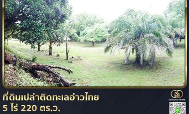 📢Empty land next to the sea, Gulf of Thailand, 5 rai, 220 sq.w. Hat Lek Subdistrict, Khlong Yai District
