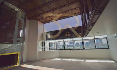 Departamento PH en Venta en Polanco 4R/4.5B/3E - Terraza - 542 m2