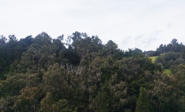 PR20204 Oficina en arriendo en el sector Alto de Palmas