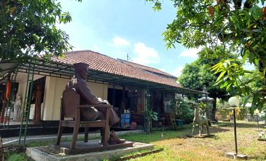 Rumah Klasik Halaman Luas di Jalan Kusumanegara