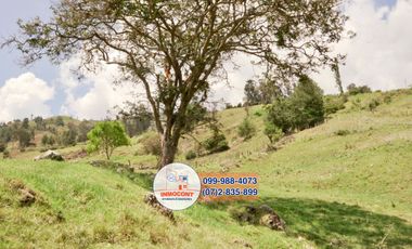 AMPLIO TERRENO DE VENTA, Sector Paute T422