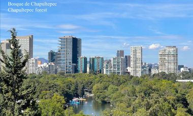 Local en venta, delegacion Miguel Hidalgo en Ciudad de Mexico