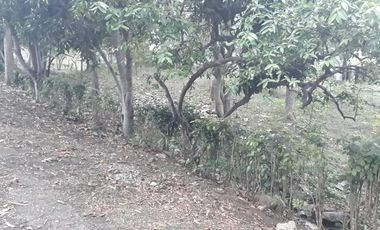 Venta Terreno en Lago de Capeira 1050 Mts.2 frente a lago - Vía Daule - Guayaquil - T022