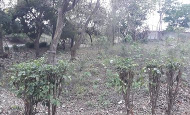 Venta Terreno en Lago de Capeira 1050 Mts.2 frente a lago - Vía Daule - Guayaquil - T022