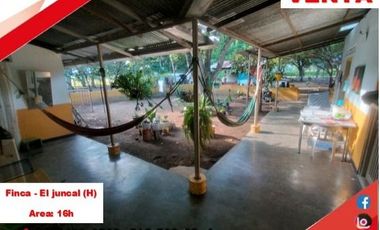 SE VENDE FINCA PRODUCTIVA 16H - EL JUNCAL (PALERMO - HUILA - COL)