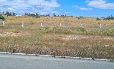 Terreno Residencial en venta de 34.5 Hectáreas, Loma Tova, Tecate, Baja California, México