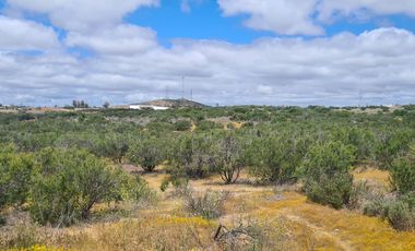 Terreno Residencial en venta de 34.5 Hectáreas, Loma Tova, Tecate, Baja California, México