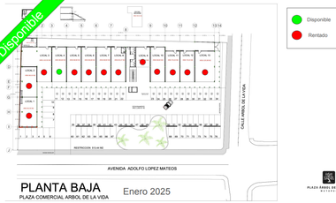 PLAZA COMERCIAL EN RENTA 