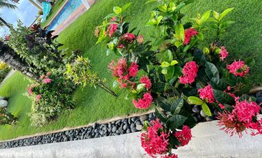 For Sale Beach House with Swimming Pool and Big Garden