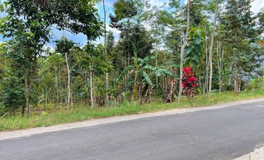 Jual Tanah Datar 1 Hektar Karangpandan Karanganyar