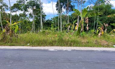 Jual Tanah Datar 1 Hektar Karangpandan Karanganyar