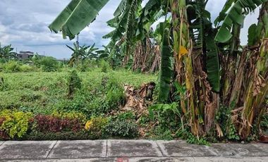300 sq m. Residential Lot For Sale in Villa Vienna 1-B, Fairview, Quezon City