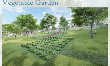 Affordable Condo for Sale in Antipolo City Midori Terraces