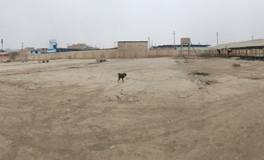 VENDO TERRENO CERCADO EN PTE.PIEDRA KM 34 PAN NORTE(RDM)