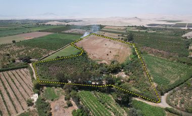 VENTA DE TERRENO - FUNDO AGRICOLA DE 6.0724 HAS EN CASMA