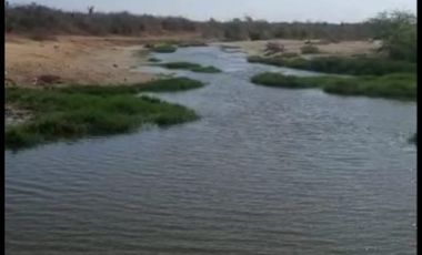 Vendo Hacienda en la costa Santa Elena Sector Chanduy 2.794 ha ca