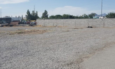 Terreno en renta  localizado en Ave. Plutarco Elías Calles