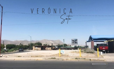 Terreno en renta  localizado en Ave. Plutarco Elías Calles