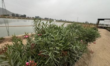 Venta de lotes en chancay, huaral