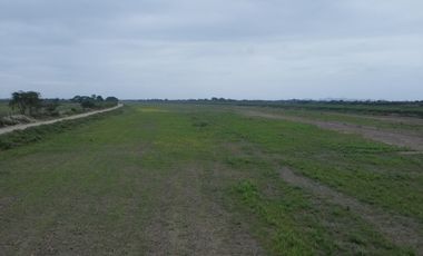 En venta hacienda de 90 hectáreas en km 26 virgen del Fatima, Puerto Inca