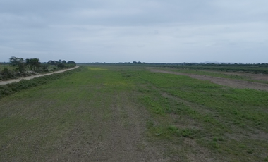 En venta hacienda de 90 hectáreas en km 26 virgen del Fatima, Puerto Inca