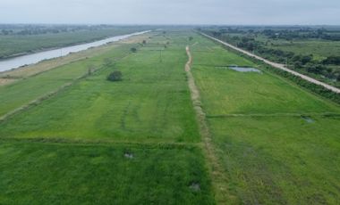 En venta hacienda de 90 hectáreas en km 26 virgen del Fatima, Puerto Inca