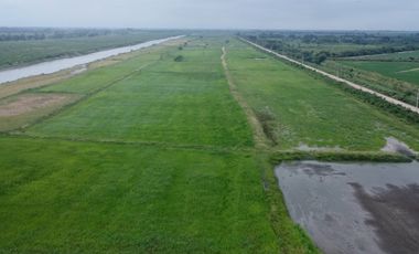 En venta hacienda de 90 hectáreas en km 26 virgen del Fatima, Puerto Inca