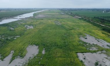 En venta hacienda de 90 hectáreas en km 26 virgen del Fatima, Puerto Inca