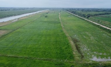 En venta hacienda de 90 hectáreas en km 26 virgen del Fatima, Puerto Inca