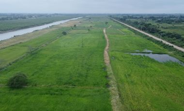 En venta hacienda de 90 hectáreas en km 26 virgen del Fatima, Puerto Inca